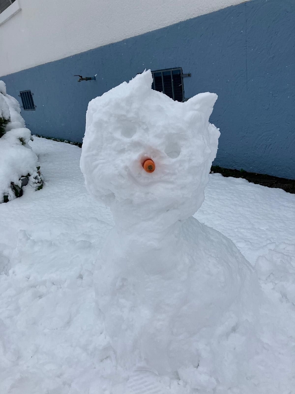 WhatsApp Image 2026-01-27 at 09.08.393.jpg